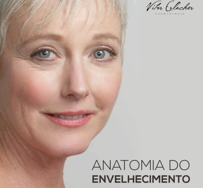 A anatomia do envelhecimento